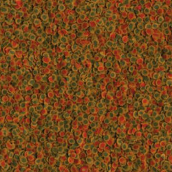 TETRAPRO - Energy - noscompagnons.fr