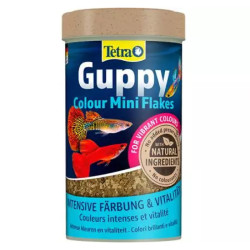 TETRAGUPPY - Colour - 250ml - noscompagnons.fr