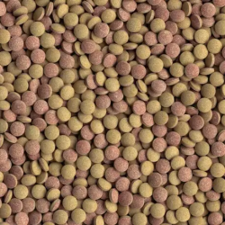 TETRA TabiMin - Noscompagnons