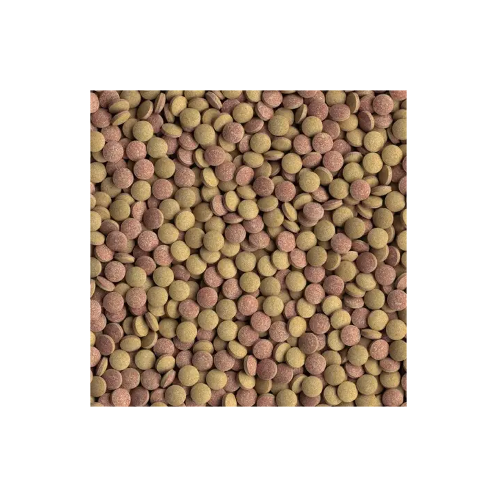 TETRA TabiMin - Noscompagnons