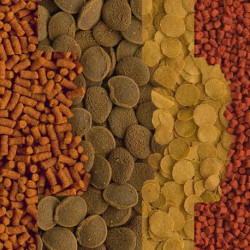 TETRA Crusta Menu-100ml - Noscompagnons