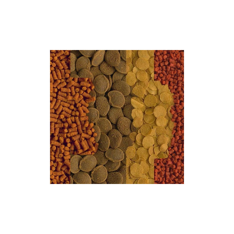 TETRA Crusta Menu-100ml - Noscompagnons