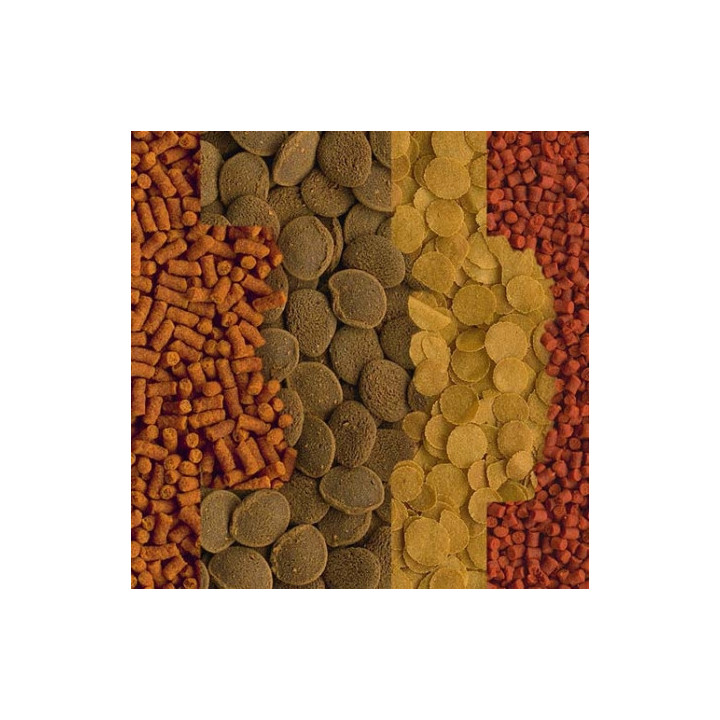 TETRA Crusta Menu-100ml - Noscompagnons