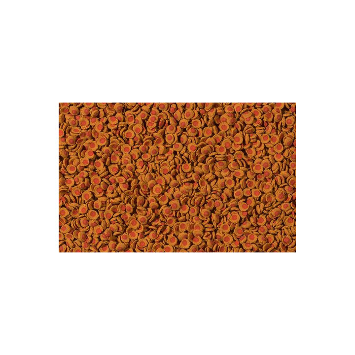 TETRA Cory - Shrimp Wafers - 250ml - Nos Compagnons