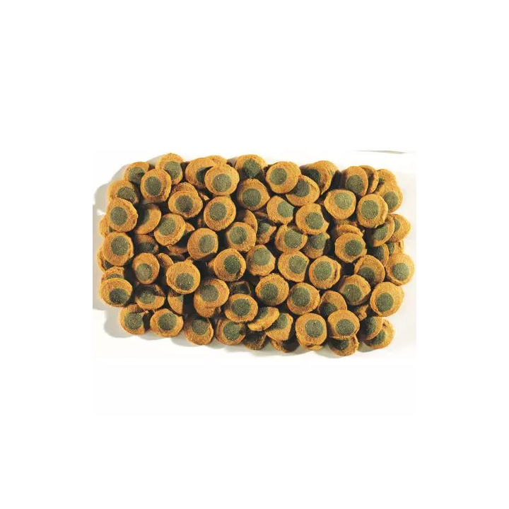 TETRA Pleco - Spirulina Wafers - 250ml - Nos compagnons