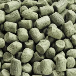 TETRAGoldfishWeekend - sticks - 5jours - Noscompagnons.fr