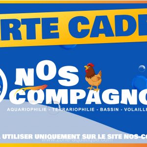 Cartes cadeaux