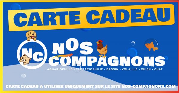 Cartes cadeaux