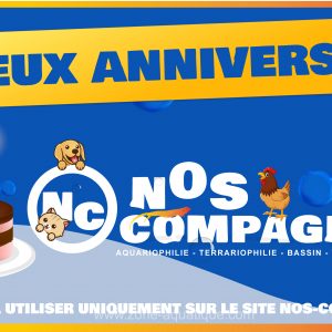 Cartes cadeaux Anniversaire