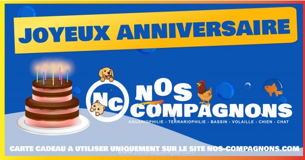 Cartes cadeaux Anniversaire